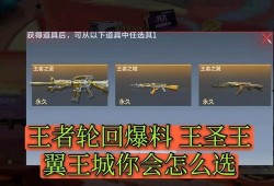 手游王者轮回最新爆料,神秘新英雄曝光，游戏格局或将再掀风云