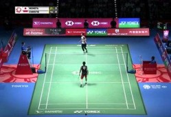 小羽毛球爆料网站大全最新,揭秘最新小羽毛球爆料网站大全